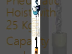 Hook Suspension Type Pneumatic Hoist with 25 Kg Capacity and Emergency Stop Safety Features